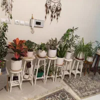 گلدان و پایه گدان