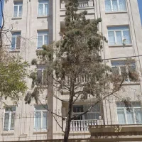 صیادویلا ۲۵۰متری دونبش جنوبی تراکم زیاد