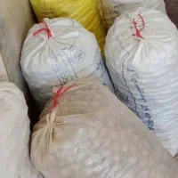 گردو کاغذی|خوردنی و آشامیدنی|سربند, |دیوار