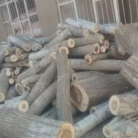 خرید انواع چوب خانەهای قدیمی و چوب باغی|خدمات باغبانی و درختکاری|بانه, |دیوار