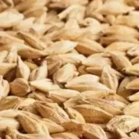 فروش۲۳ بسته جو محلی اعلاع قیمت ۵۷ تومن