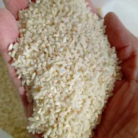 برنج لاشه نیمدانه کم دودی