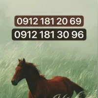 9121812069 و 9121813096