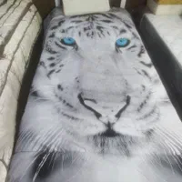 روتختی سه بعدی|سرویس روتختی|کرمانشاه, |دیوار