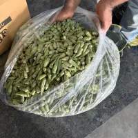 بامیه منجمد ای کی اف