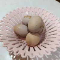 تخم لاری نطفه دار