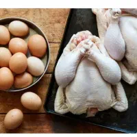 نیازمندنیروبرای مغازه مرغ فروشی