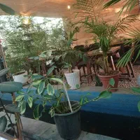 سالن دار خانم و اقا