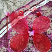 بال پروانه ای
