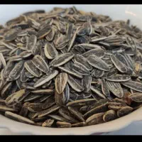 تخمه دور سفید