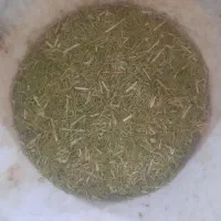 خار شتر فروشی|لوازم جانبی حیوانات|تربتحیدریه, پائین ولایت|دیوار