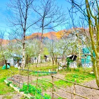 *سوییت نوساز/ وشیک/تمیز در دل طبیعت/پارکینگ دار|اجارهٔ کوتاه‌مدت آپارتمان و سوئیت|رضوانشهر, |دیوار