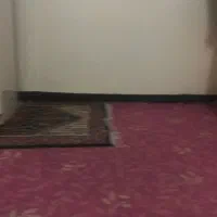 اجاره سویت روزانه