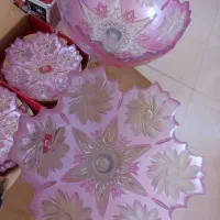 ظروف پذیرایی نو