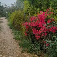 اجاره خونه باغ