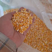 ذرت شکسته ۴ پاره