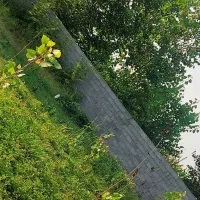 سندتک برگ یک قطعه زمین داخل طرح هادی(باغی)