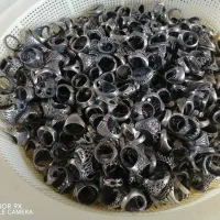 بدلیجات رکاب سفید وانگشتر|بدلیجات|خرمآباد, |دیوار