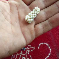 تعدادی مروارید فروشی
