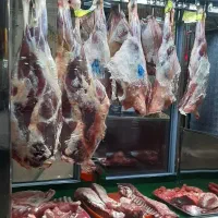 پخش گوشت|خوردنی و آشامیدنی|رشت, دیلمان|دیوار
