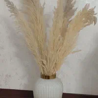 گل و گلدن جدید