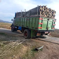 خرید چوب ودرخت|خدمات باغبانی و درختکاری|خرم‌آباد, |دیوار