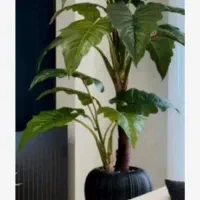 آلو کازیا درخچه|گل مصنوعی|تهران, مشیریه|دیوار