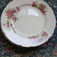 ۶عدد بشقاب گل سرخی چینی