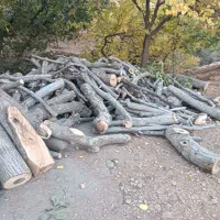 چوب|خدمات باغبانی و درختکاری|پاوه, |دیوار