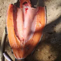 نیازمند کارگر|استخدام صنعتی، فنی، مهندسی|شهرکرد, |دیوار