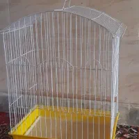 قفس پرنده