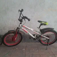 دوچرخه سایز 20 تایگرز