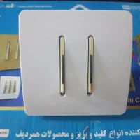 asyaelecteric