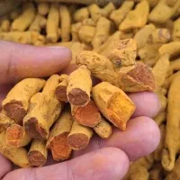 زردچوبه درجه یک و با کیفیت|خوردنی و آشامیدنی|مشهد, شهید قربانی|دیوار