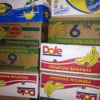 کارتون خالی موز