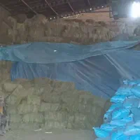 یونجه|عمده‌فروشی|رفسنجان, |دیوار