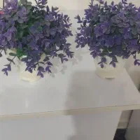 گل وابازر|گل مصنوعی|اهواز, بهارستان|دیوار