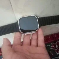 ساعت و کوتوله برزیلی نر