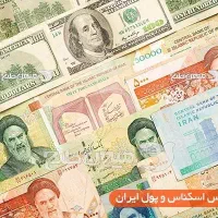 ضامن