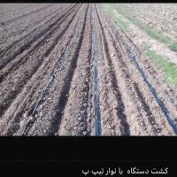 فروش یک عدستگاه گندم کار و ریز دانه کار در حد نو