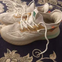 کفش|کیف، کفش، کمربند|صحنه, |دیوار