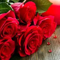 همکاری مناسب افراد متعهد وجویای کار