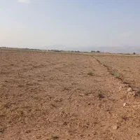زمین کشاورزی با آب