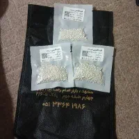 ساچمه نقره قاسمی