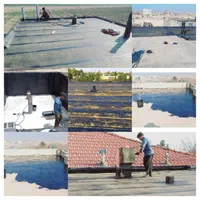 دفتر نصب و فروش ایزوگام شرق قیرگونی و آسفالت|خدمات پیشه و مهارت|مشهد, بهمن|دیوار