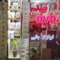 نیروی کار در ویدیو کلوپ (استریو)