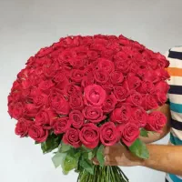 رز هلندی رایگان در مشهد