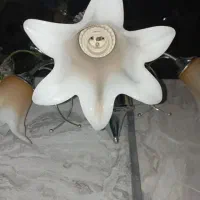 لوستر|لوستر و چراغ آویز|سبزوار, فرهنگیان|دیوار