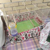 قفس جفت کن|لوازم جانبی حیوانات|اصفهان, سرتاوه|دیوار