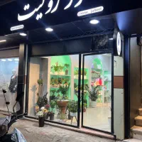 گلفروشی در سبزوار